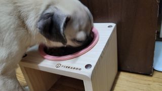 상상씨님이 올린 리뷰 사진 2