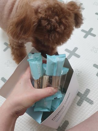 페페로니 클린플러스 덴탈치킨껌 10g x 14p — 5점을 준 리뷰어가 2021년 7월 올린 사용 사진