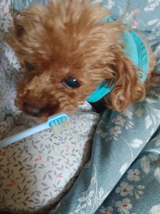 멍순이님이 올린 리뷰 사진 2
