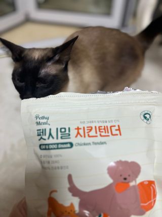 [펫시밀] 원물그대로 영양듬뿍 진공동결건조 치킨텐더100g, 열빙어트릿100g 강아지 고양이 간식 — 5점을 준 리뷰어가 2023년 5월 올린 사용 사진