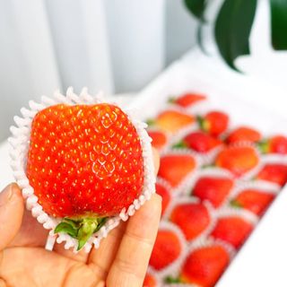 옳음 딸기 논산 설향 딸기 900g 산지직송 — 5점을 준 리뷰어가 2021년 2월 올린 사용 사진