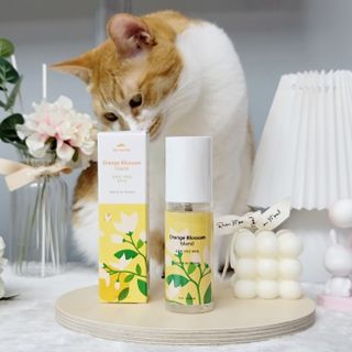 jenny님이 올린 리뷰 사진 3