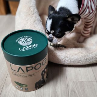 썽이mom앙꼬님이 올린 리뷰 사진 1