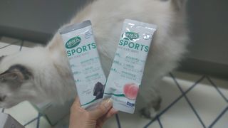 시묘님이 올린 리뷰 사진 2