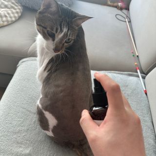 지송송계란탁님이 올린 리뷰 사진 3