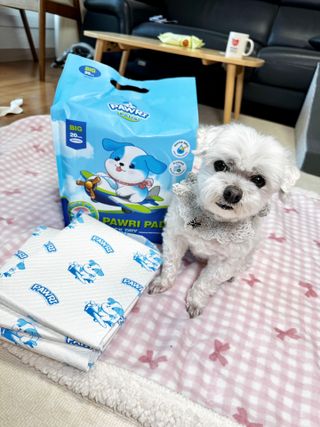 망아진가봄님이 올린 리뷰 사진 2