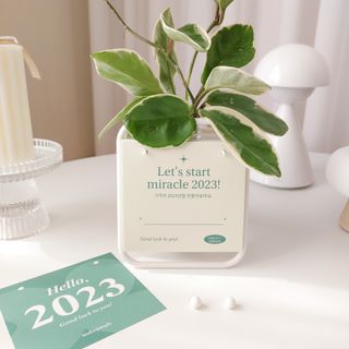 [메이크정글] 식물과 달력이 하나로, 2023년 식물캘린더 No.1 — 5점을 준 리뷰어가 2022년 10월 올린 사용 사진