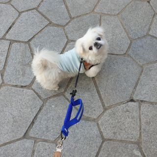mini unni님이 올린 리뷰 사진 3