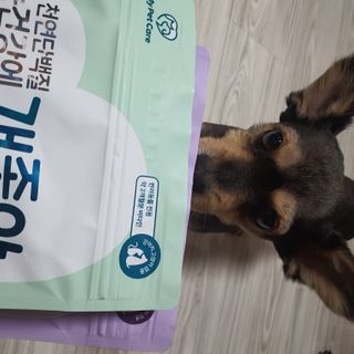My Pet Care 천연단백질 눈건강에 개좋아 — 5점을 준 리뷰어가 2021년 1월 올린 사용 사진