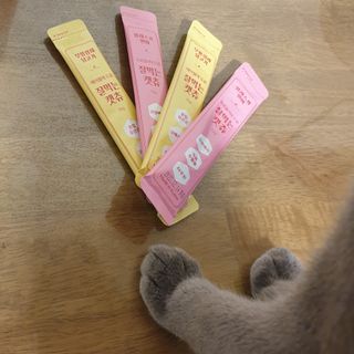 페페로니 잘 먹는 캣츄 - 무항생제 닭고기 12개 + 알래스카 연어 12개 — 5점을 준 리뷰어가 2021년 8월 올린 사용 사진