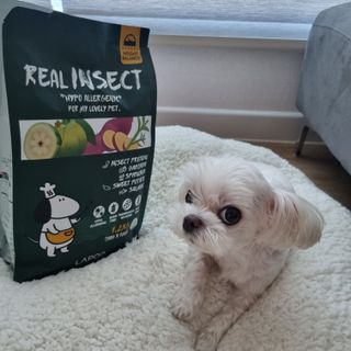 [푸디웜] 라포그  리얼인섹트 웨이트밸런스 저알러지 강아지 사료  1.2KG — 5점을 준 리뷰어가 2022년 7월 올린 사용 사진
