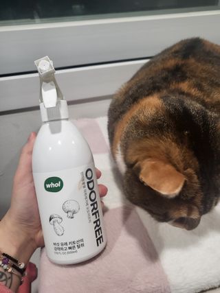 호롤로님이 올린 리뷰 사진 2