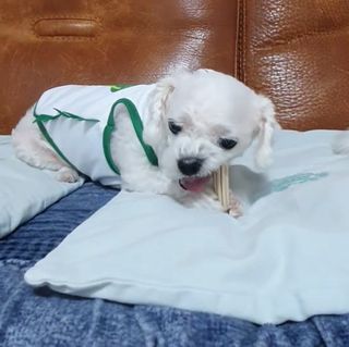 잉꾸님이 올린 리뷰 사진 2