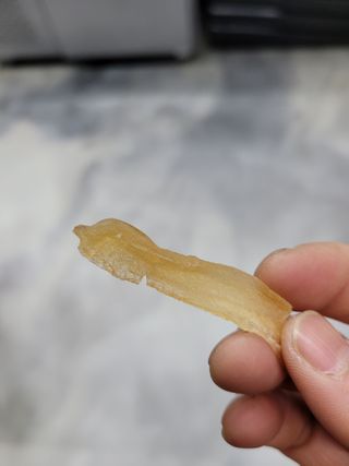 삼남매 맘^^님이 올린 리뷰 사진 1