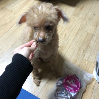 찌니님이 올린 리뷰 사진 2