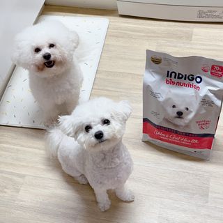 쏭언니님이 올린 리뷰 사진 3