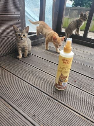 기왕이면호피치마님이 올린 리뷰 사진 2