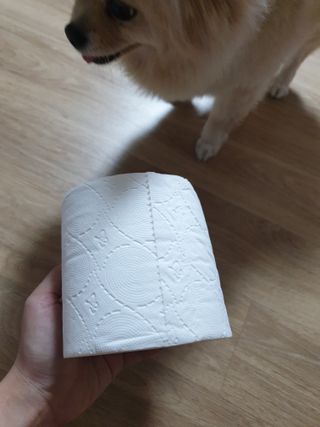 맹고님이 올린 리뷰 사진 3