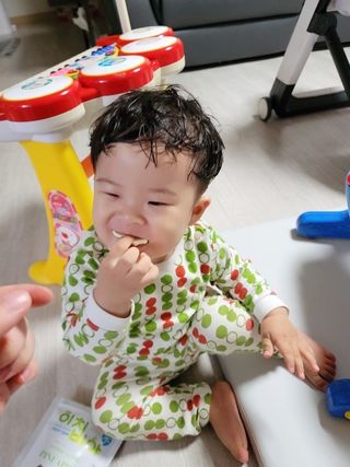 동결건조 과일칩 이치비야 4종 set — 5점을 준 리뷰어가 2021년 10월 올린 사용 사진