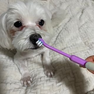 달콩리치님이 올린 리뷰 사진 3