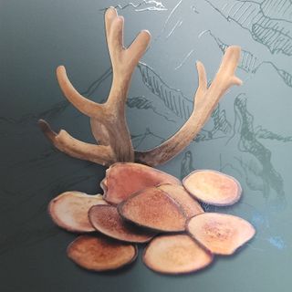 서울약사신협 약사신협_생녹용 진액_70ml x 30포 — 5점을 준 리뷰어가 2021년 7월 올린 사용 사진