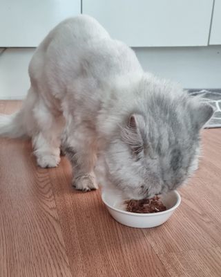 신선님이 올린 리뷰 사진 3