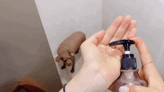 마리앤루이펫샴푸 [mari and louie pet shampoo] — 4점을 준 리뷰어가 2021년 6월 올린 사용 사진