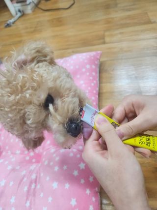 파비올라님이 올린 리뷰 사진 3