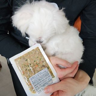 hosu.1230님이 올린 리뷰 사진 4