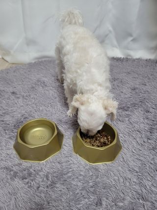 시우하늘맘님이 올린 리뷰 사진 4