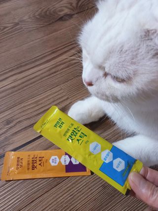 페페로니 맛있는 스틱 - 무항생제 닭고기 15개 + 원양선 참치 15개 — 5점을 준 리뷰어가 2021년 8월 올린 사용 사진