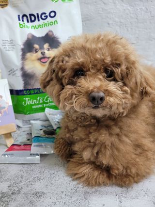 김맘님이 올린 리뷰 사진 1