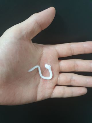 벨라리페라리님이 올린 리뷰 사진 2