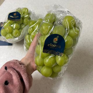 헴이님이 올린 리뷰 사진 3