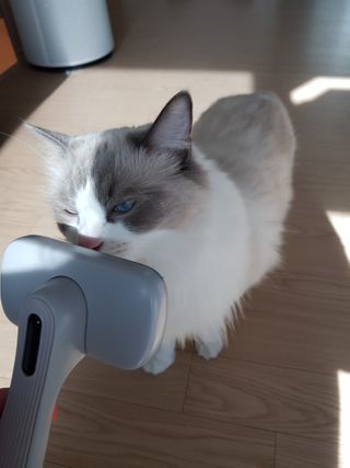 로크찡님이 올린 리뷰 사진 2