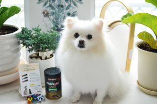 JAY님이 올린 리뷰 사진 1