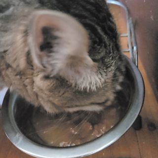 Naimy님이 올린 리뷰 사진 4