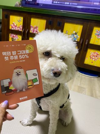 파라오겅쭈님이 올린 리뷰 사진 1