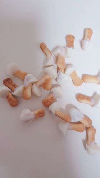 sowon님이 올린 리뷰 사진 2