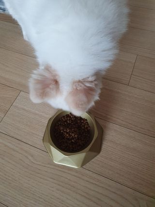 보미누나님이 올린 리뷰 사진 1