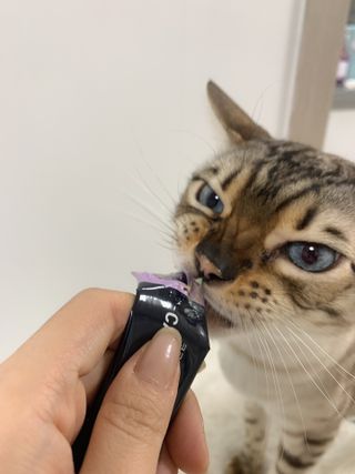 어린이님이 올린 리뷰 사진 3