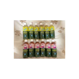 더그레잇티 콤부차 [매일유업] 더그레잇티 44kcal 콤부차 300ml *12개입 (오리지널 6개+베리리치 6개) — 5점을 준 리뷰어가 2023년 7월 올린 사용 사진