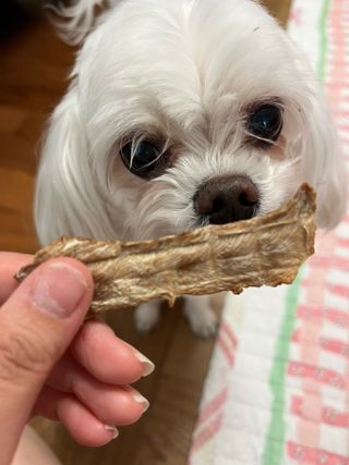 O_zl님이 올린 리뷰 사진 4