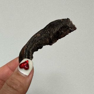 JeonEunju님이 올린 리뷰 사진 3