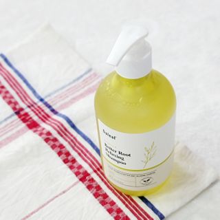 달리프 클로렐라 베러 루트 릴렉싱 샴푸 500ml — 5점을 준 리뷰어가 2021년 2월 올린 사용 사진
