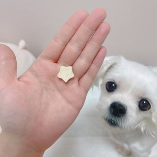 Ruru1412님이 올린 리뷰 사진 2