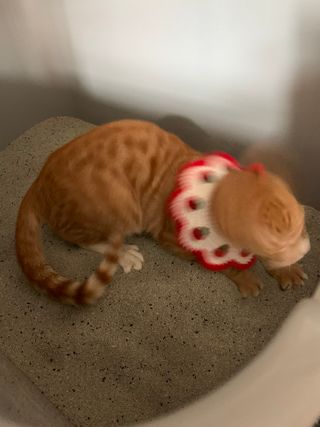 오잉님이 올린 리뷰 사진 1