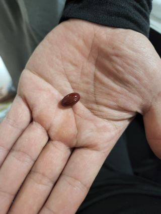 으니님이 올린 리뷰 사진 3