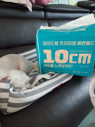 아베크 펫 와이드 프리미엄 대형 애견 강아지 배변 패드 30매 1팩 80g — 5점을 준 리뷰어가 2021년 7월 올린 사용 사진