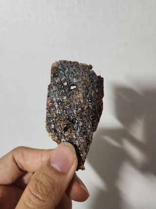 하이빈님이 올린 리뷰 사진 2